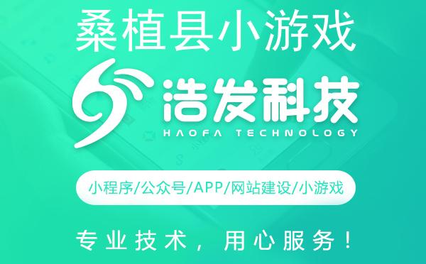 桑植县小游戏开发领军者：专业实力铸就精品