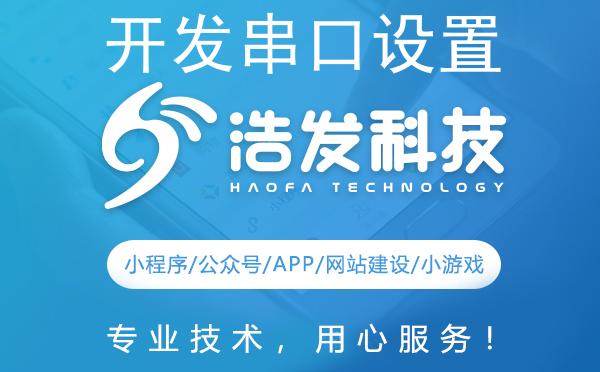 开发串口设置的全面指南
