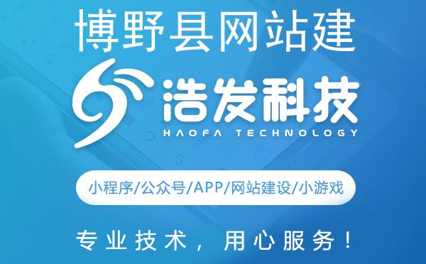 博野县网站建设哪家强？这家科技公司值得推荐！