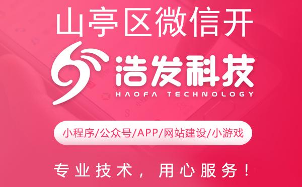 山亭区微信开发优选服务商解析
