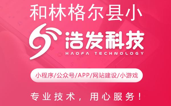 和林格尔县小游戏开发首选，专业实力铸就精品