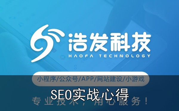 网站建设中的SEO优化:从基础到进阶实战心得:踩过的坑和总结的经验 - 三、案例分享
