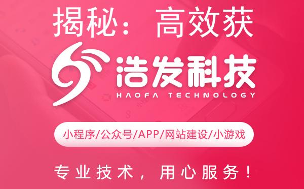 揭秘：高效获取开发版的独家策略