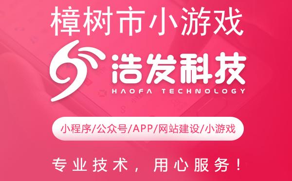 樟树市小游戏开发领军者：专业实力铸就辉煌