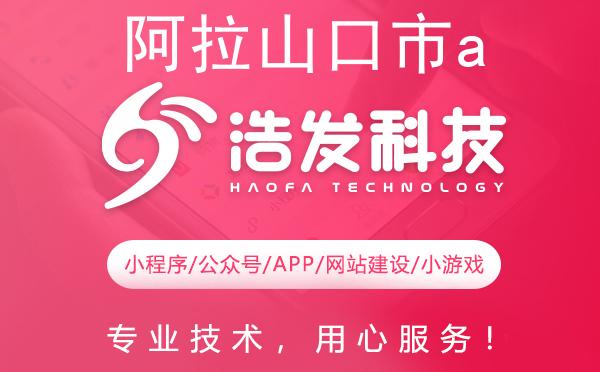 阿拉山口市app开发哪家强？这家公司值得推荐！