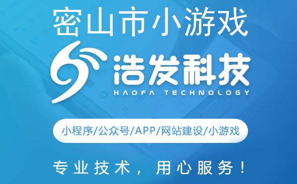 密山市小游戏开发佼佼者 助力梦想游戏成真