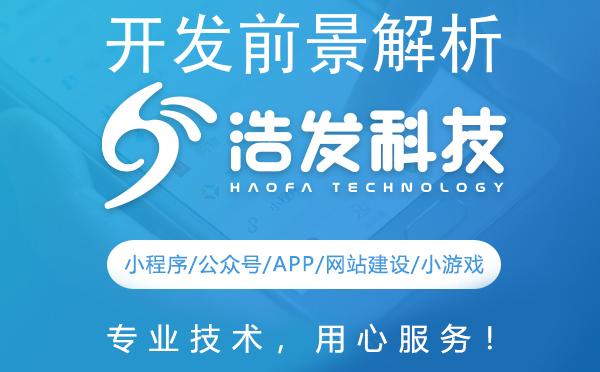 开发前景解析