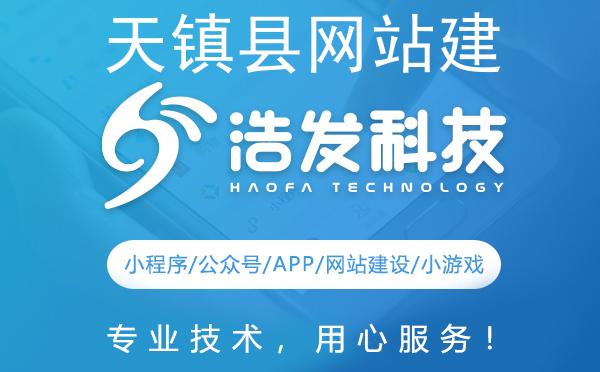 天镇县网站建设哪家强？这家科技公司值得推荐！