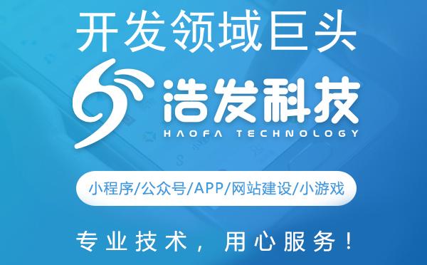 开发领域巨头公司概览与浩发科技的璀璨之路