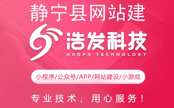 静宁县网站建设哪家强？专业团队打造高品质网站