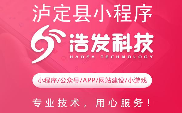 泸定县小程序开发优选指南：专业实力打造卓越体验