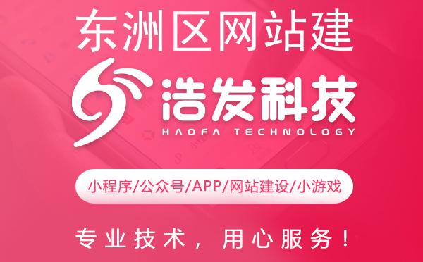 东洲区网站建设哪家强？这家企业值得推荐！