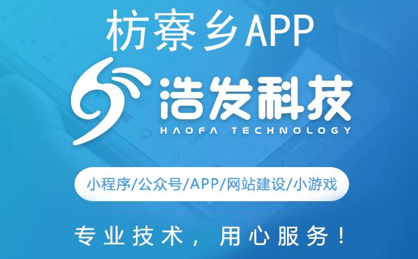 枋寮乡APP开发哪家强？专业团队打造高品质应用