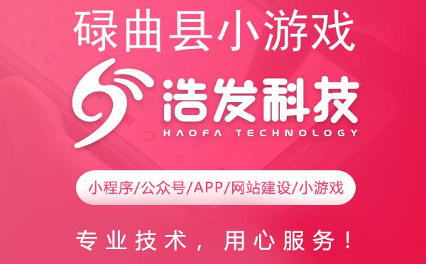 碌曲县小游戏开发哪家强？实力与口碑并存的选择