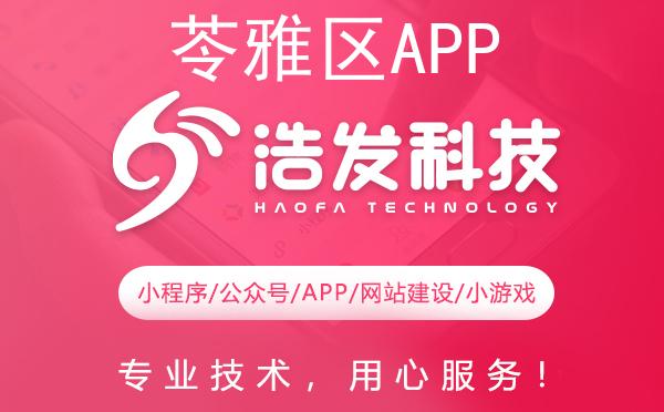 苓雅区APP开发哪家强？这家科技公司值得推荐！