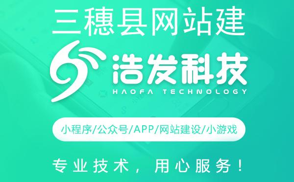 三穗县网站建设哪家强？专业团队打造优质网站