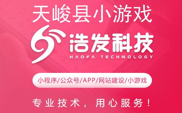 天峻县小游戏开发哪家强？这家企业值得推荐！