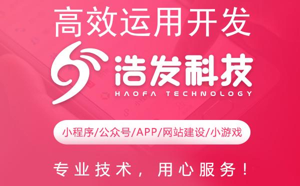 高效运用开发程序，打造数字化未来