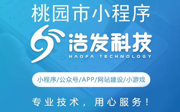 桃园市小程序开发哪家强？这家企业值得推荐！