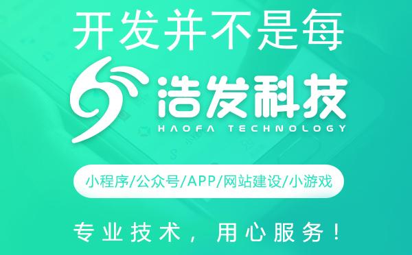 开发并不是每个人都能驾驭：浩发科技如何脱颖而出