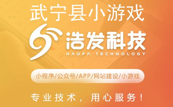 武宁县小游戏开发哪家强？这家企业值得推荐！