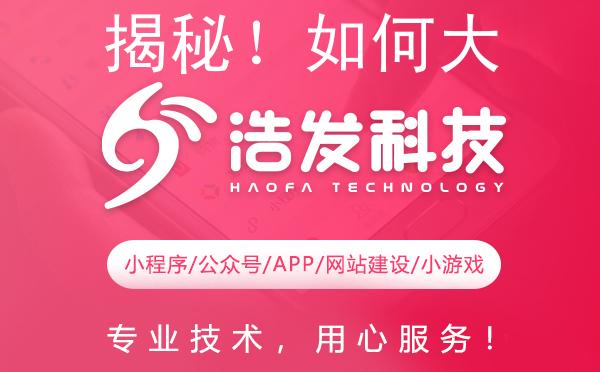 揭秘！如何大幅提高软件项目开发效率与质量
