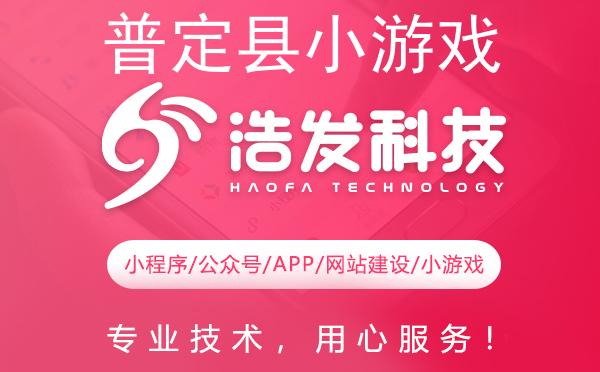 普定县小游戏开发首选，专业实力铸就精品
