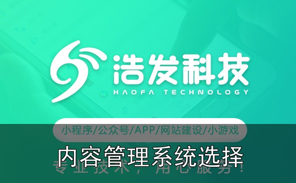 网站建设内容管理系统:WordPress vs 自定义,选对方案少走弯路 - 四、收尾建议
