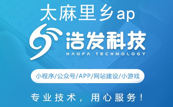 太麻里乡app开发哪家强？这家科技公司值得推荐！