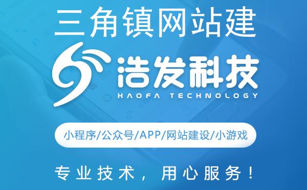 三角镇网站建设优选服务商揭秘
