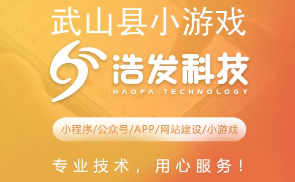 武山县小游戏开发领军者 助力梦想游戏成真